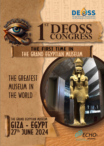 DEOSS Meeting in Kairo